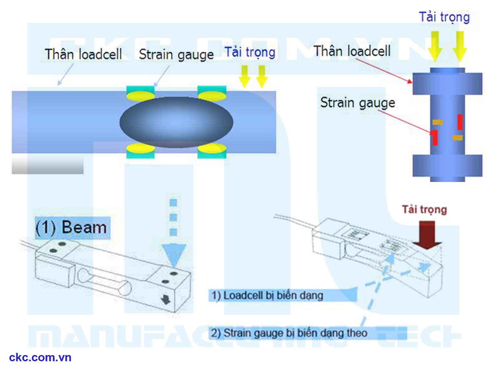 Cảm biến lực và tải trọng tác động